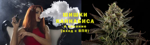 молекула духа Осинники