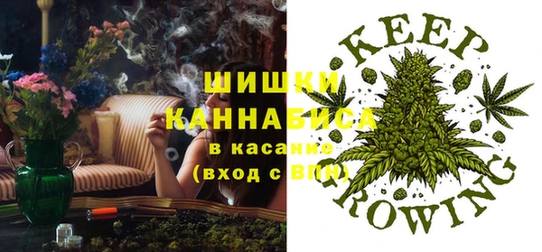 молекула духа Осинники
